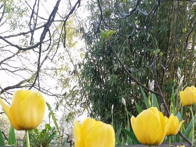 Il podere della nonna