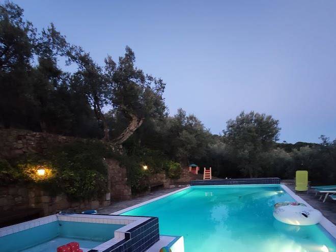 Olive tree suites
