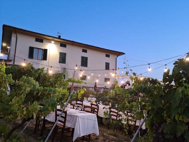 Tenute poggio di bobi