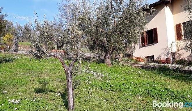 La Collina Degli Olivi Image