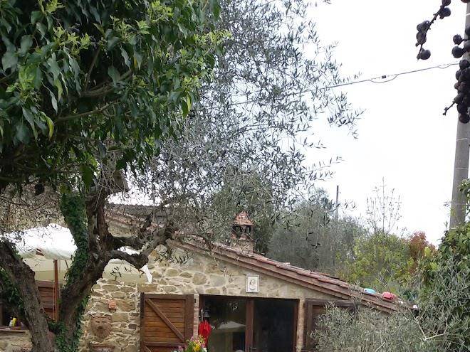 Affittacamere podere romitorio