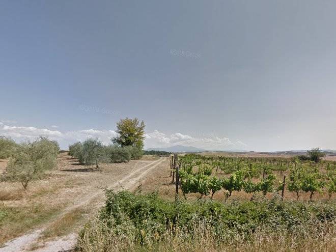 Agriturismo bombina di casini m cecilia
