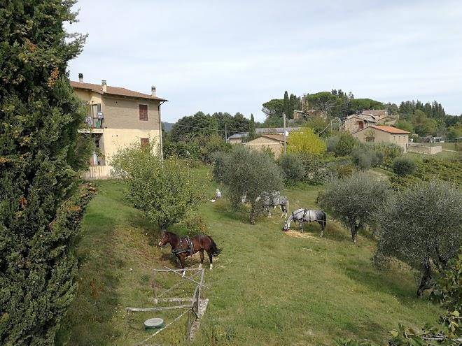 Agriturismo il poggiarello