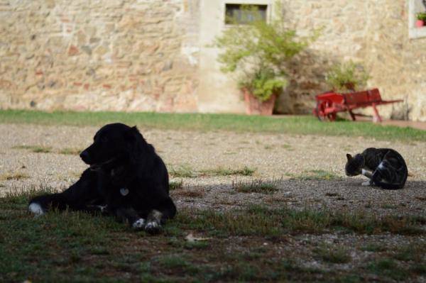 Agriturismo podere la selva