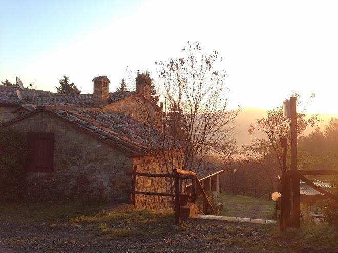 Agriturismo radicondoli la boscaglia