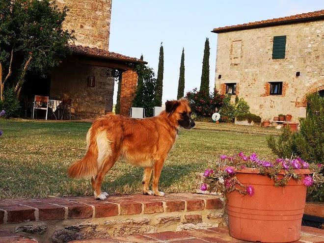 Agriturismo scurcoli