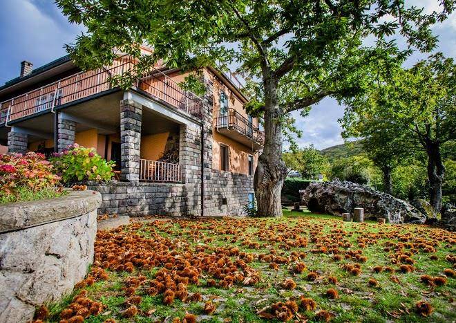 Al sassone b&b holiday home
