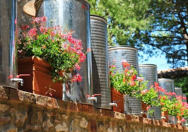 Azienda agraria sole di arenosto alessandra