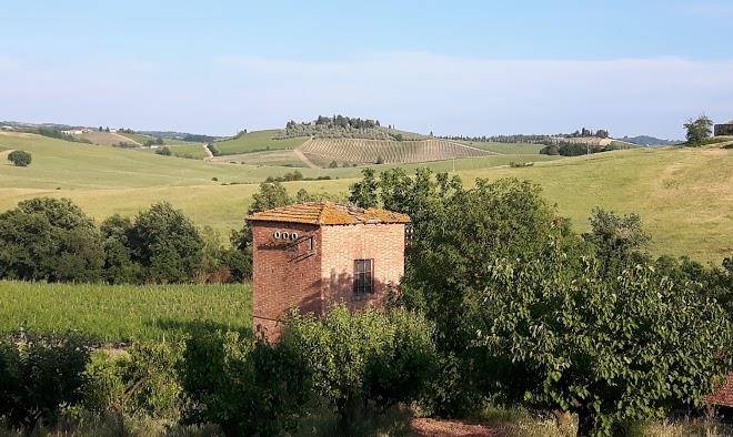 Azienda agricola cignan rosso