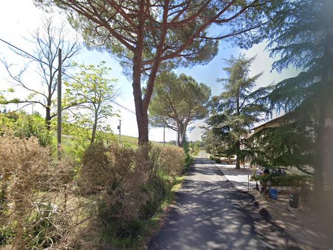 Azienda Agricola Fornacelle Image