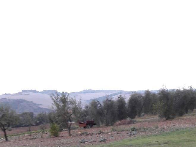 Azienda agricola palazzo