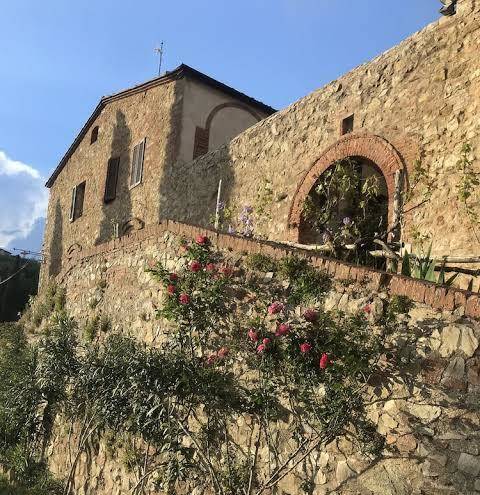 Fattoria Il Santo S R L Image