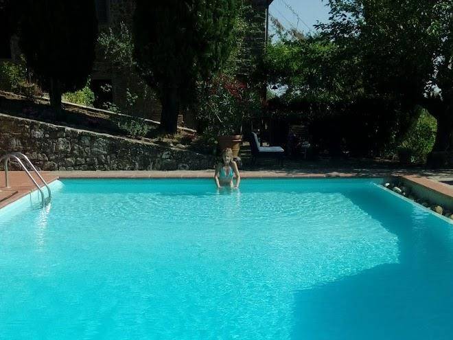Il fico in chianti