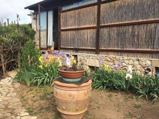 Il giardino 10
