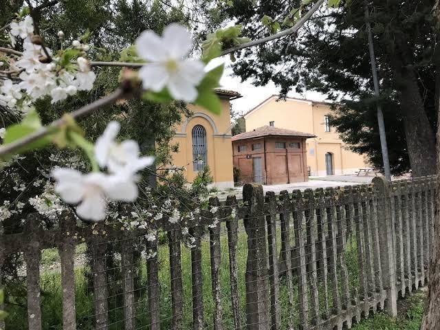 Il giuggiolo