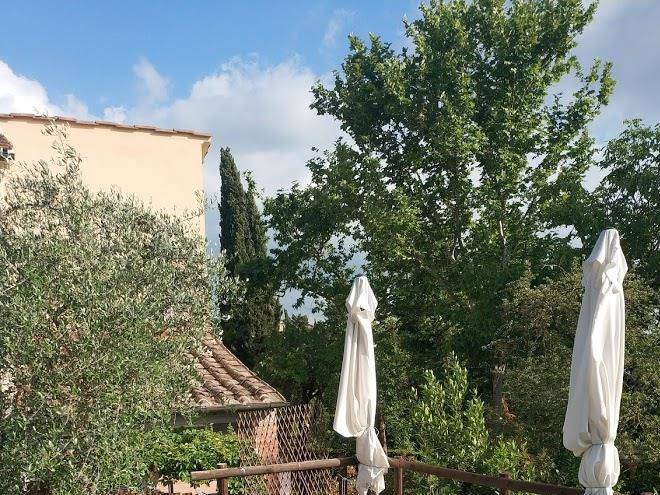 Il lavandeto