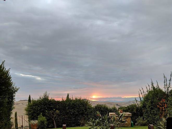 Il nido di giulia