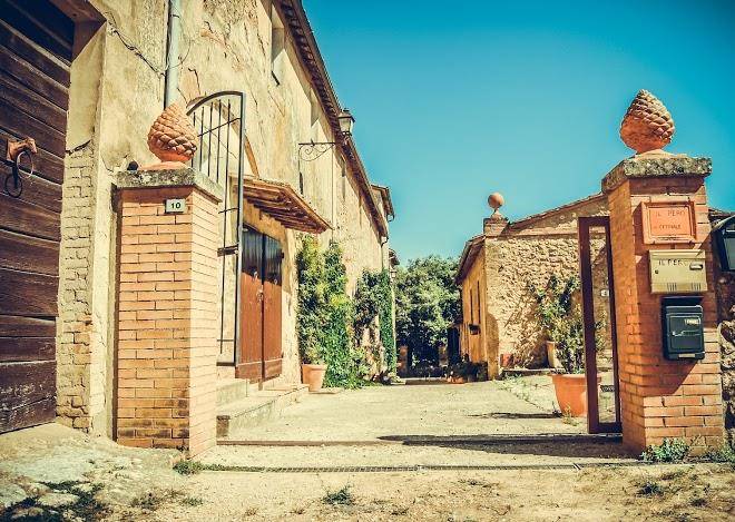 Il Pero Di Cetinale Image