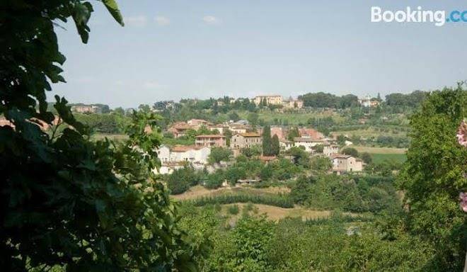 Il pettirosso b&b