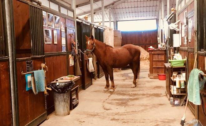 Il Poggio Convivium Srl Image