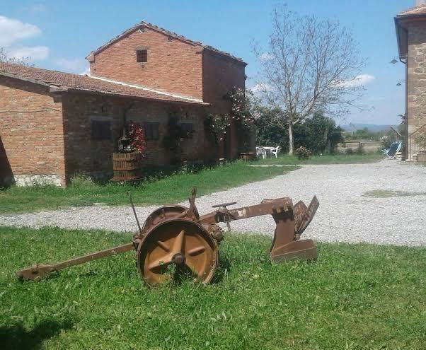 Podere alberello
