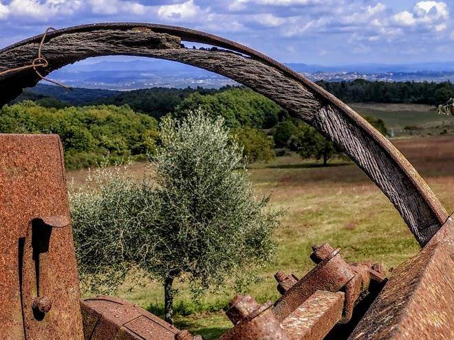 Podere bareto