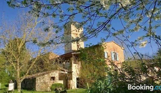 Podere capannacce azienda agricola biologica allevamento agriturismo
