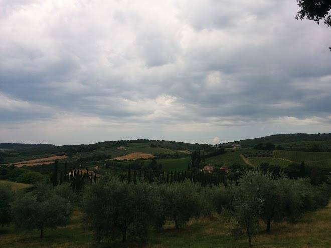 Podere la tesa di ceccarelli nicola
