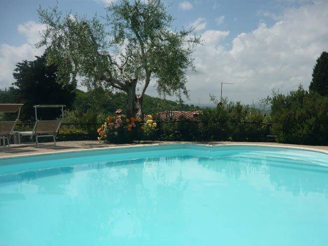 Podere oliveta