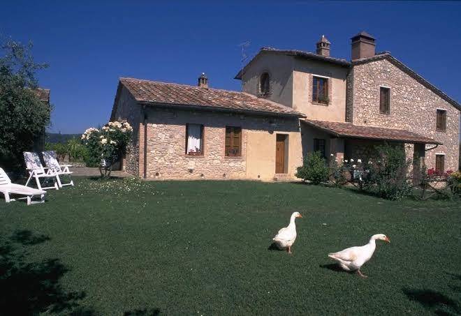 Poggetto di montese