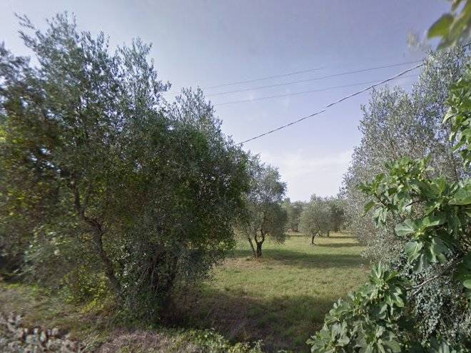 Societa' agricola scannano s r l