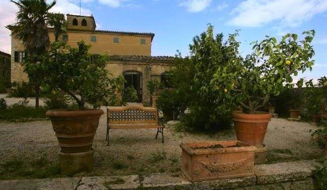 Tenuta belsedere