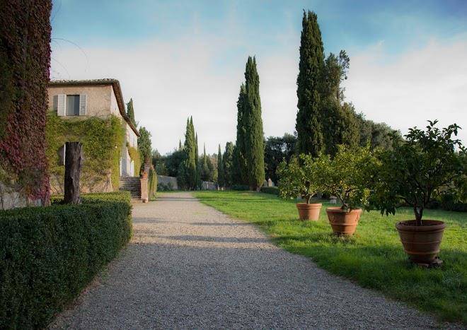 Tenuta Di Spannocchia Image