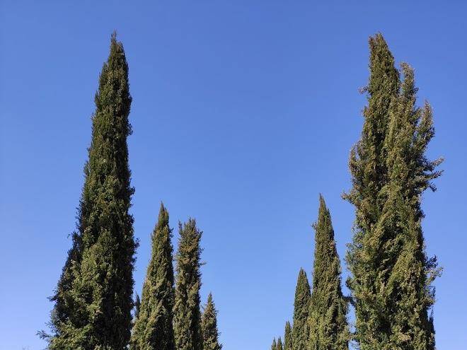 Tenuta le gallozzole