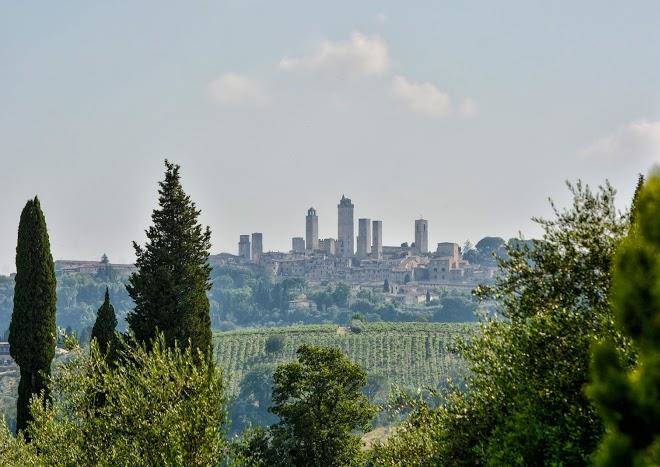 Tenuta torciano