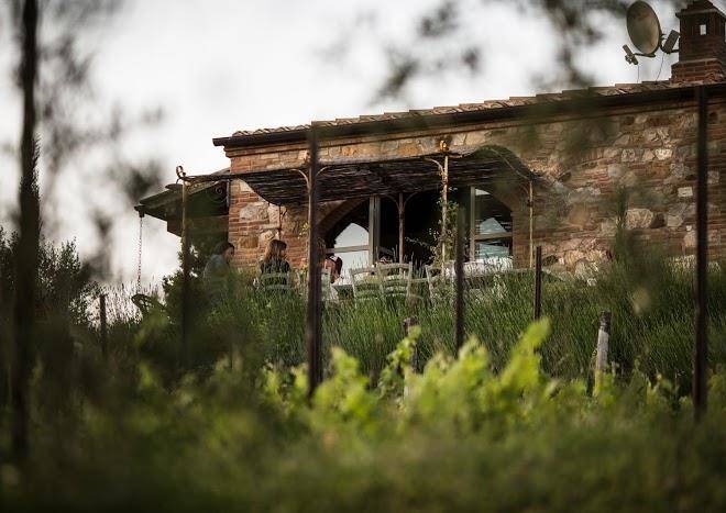 The lazy olive glamping