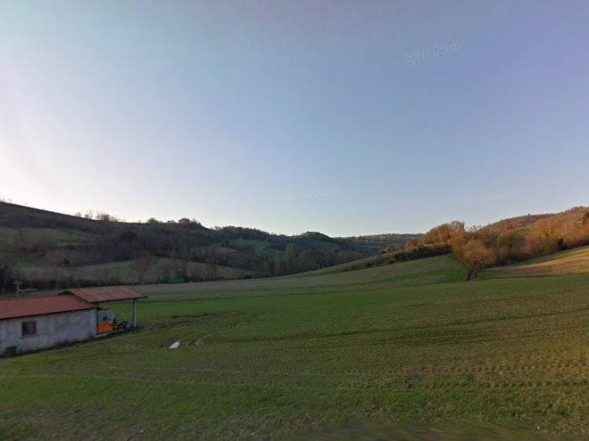 Agricola caicucci