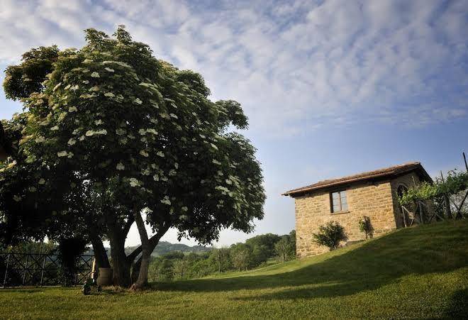 Agriturismo caiferri