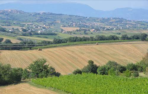 Agriturismo gli olmi