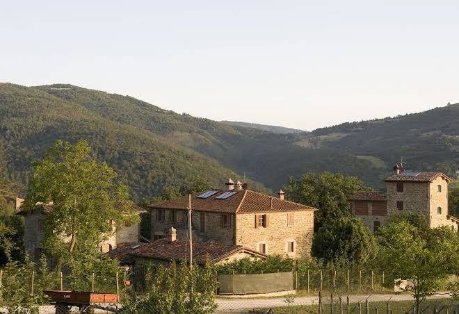 Agriturismo il cucciolo