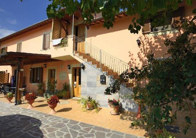 Agriturismo l'ulivo in fiore