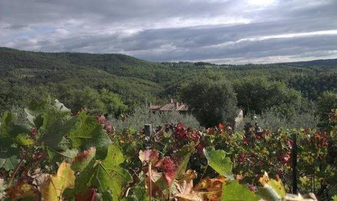 Agriturismo la giuiaia
