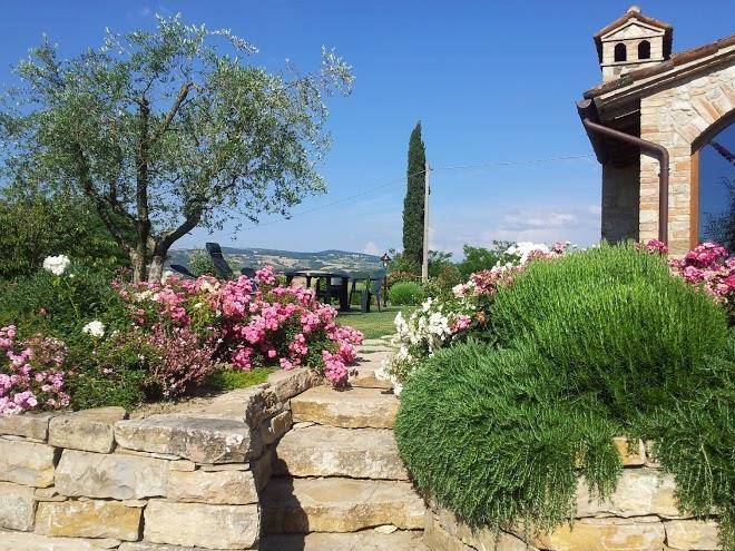 Agriturismo la torraccia