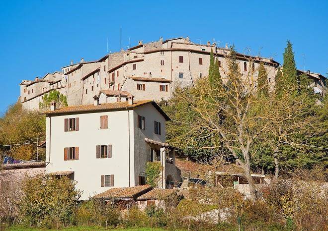 Agriturismo zafferano e dintorni