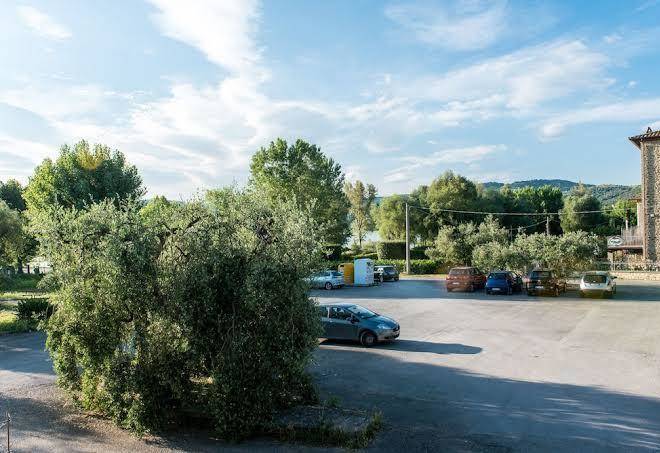 Alloggio Del Gatto Image