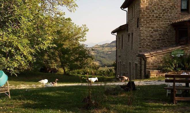 Azienda Agricola Boscovecchio Image