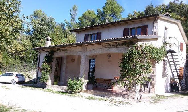 B&b belvedere