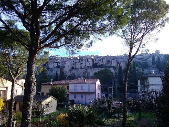 B&b i narcisi