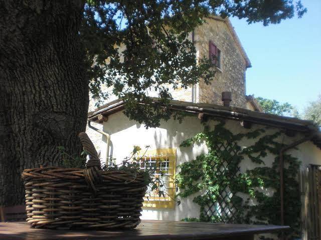 B&b il sentiero nel bosco