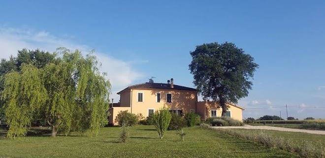 Bed and breakfast le rose